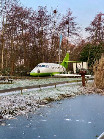 260130 Vreemde Vogel3